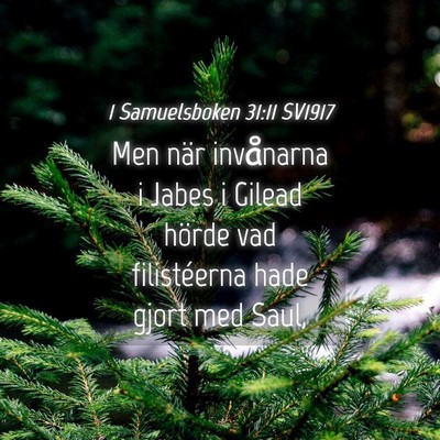 Picture 04 - 1 Samuelsboken 31:11 SV1917 - Men när invånarna i Jabes i Gilead hörde vad - Bible Verse Picture