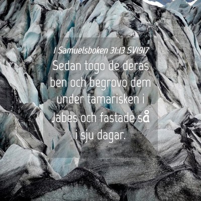 Picture 04 - 1 Samuelsboken 31:13 SV1917 - Sedan togo de deras ben och begrovo dem under - Bible Verse Picture