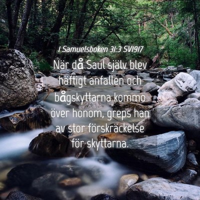 Picture 04 - 1 Samuelsboken 31:3 SV1917 - När då Saul själv blev häftigt anfallen och - Bible Verse Picture