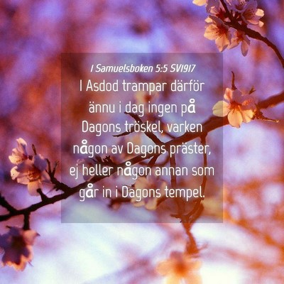 Picture 04 - 1 Samuelsboken 5:5 SV1917 - I Asdod trampar därför ännu i dag ingen på - Bible Verse Picture