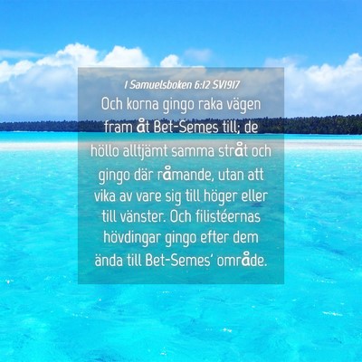 Picture 04 - 1 Samuelsboken 6:12 SV1917 - Och korna gingo raka vägen fram åt Bet-Semes - Bible Verse Picture