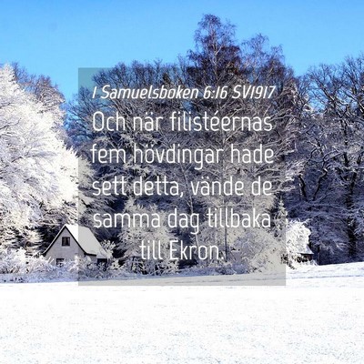 Picture 04 - 1 Samuelsboken 6:16 SV1917 - Och när filistéernas fem hövdingar hade sett - Bible Verse Picture