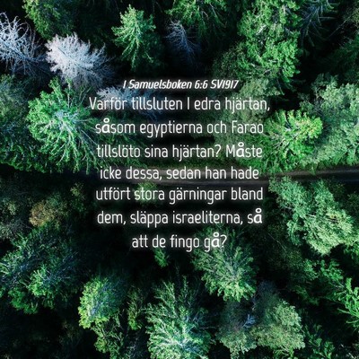 Picture 04 - 1 Samuelsboken 6:6 SV1917 - Varför tillsluten I edra hjärtan, såsom - Bible Verse Picture