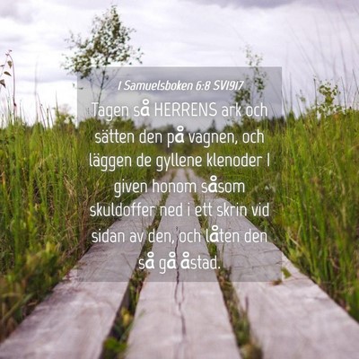 Picture 04 - 1 Samuelsboken 6:8 SV1917 - Tagen så HERRENS ark och sätten den på vagnen, - Bible Verse Picture