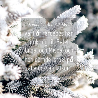 Picture 04 - 1 Samuelsboken 7:16 SV1917 - Vart år färdades han omkring till Betel, Gilgal - Bible Verse Picture