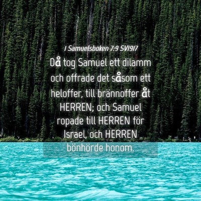 Picture 04 - 1 Samuelsboken 7:9 SV1917 - Då tog Samuel ett dilamm och offrade det såsom - Bible Verse Picture