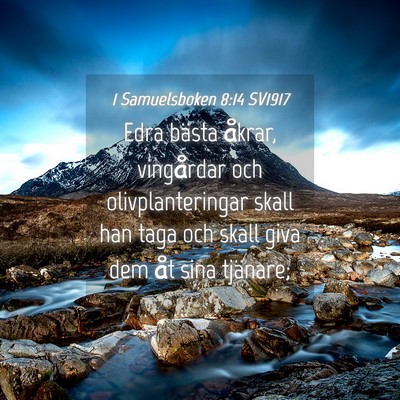 Picture 04 - 1 Samuelsboken 8:14 SV1917 - Edra bästa åkrar, vingårdar och - Bible Verse Picture