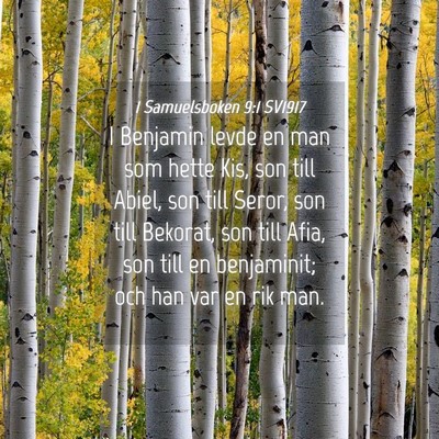 Picture 04 - 1 Samuelsboken 9:1 SV1917 - I Benjamin levde en man som hette Kis, son till - Bible Verse Picture