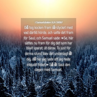 Picture 04 - 1 Samuelsboken 9:24 SV1917 - Då tog kocken fram lårstycket med vad därtill - Bible Verse Picture