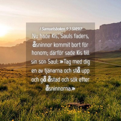 Picture 04 - 1 Samuelsboken 9:3 SV1917 - Nu hade Kis', Sauls faders, åsninnor kommit bort - Bible Verse Picture