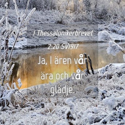Picture 04 - 1 Thessalonikerbrevet 2:20 SV1917 - Ja, I ären vår ära och vår - Bible Verse Picture
