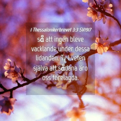 Picture 04 - 1 Thessalonikerbrevet 3:3 SV1917 - så att ingen bleve vacklande under dessa - Bible Verse Picture
