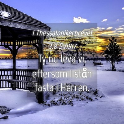 Picture 04 - 1 Thessalonikerbrevet 3:8 SV1917 - Ty nu leva vi, eftersom I stån fasta i - Bible Verse Picture