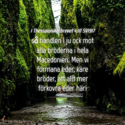 Picture 04 - 1 Thessalonikerbrevet 4:10 SV1917 - så handlen I ju ock mot alla bröderna i hela - Bible Verse Picture
