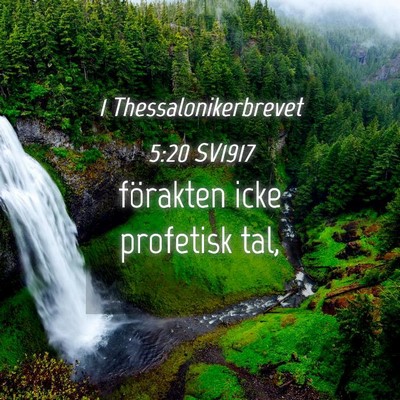 Picture 04 - 1 Thessalonikerbrevet 5:20 SV1917 - förakten icke profetisk - Bible Verse Picture
