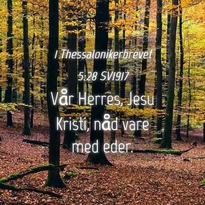 Picture 04 - 1 Thessalonikerbrevet 5:28 SV1917 - Vår Herres, Jesu Kristi, nåd vare med - Bible Verse Picture
