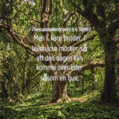 Picture 04 - 1 Thessalonikerbrevet 5:4 SV1917 - Men I, käre bröder, I leven icke mörker, så - Bible Verse Picture