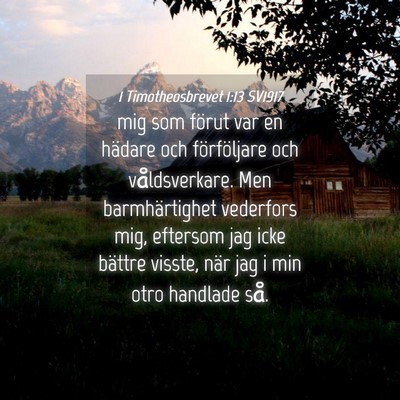 Picture 04 - 1 Timotheosbrevet 1:13 SV1917 - mig som förut var en hädare och förföljare - Bible Verse Picture