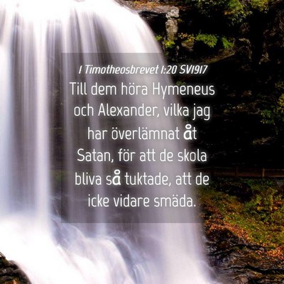Picture 04 - 1 Timotheosbrevet 1:20 SV1917 - Till dem höra Hymeneus och Alexander, vilka jag - Bible Verse Picture