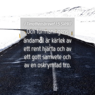 Picture 04 - 1 Timotheosbrevet 1:5 SV1917 - Och förmaningens ändamål är kärlek av ett - Bible Verse Picture