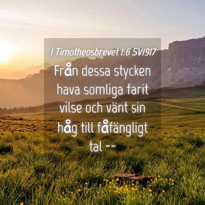 Picture 04 - 1 Timotheosbrevet 1:6 SV1917 - Från dessa stycken hava somliga farit vilse och - Bible Verse Picture