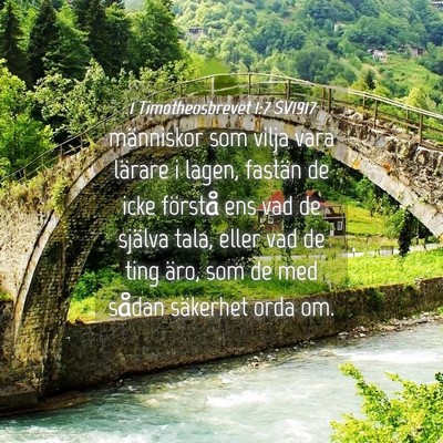 Picture 04 - 1 Timotheosbrevet 1:7 SV1917 - människor som vilja vara lärare i lagen, - Bible Verse Picture