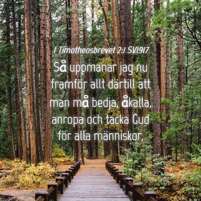Picture 04 - 1 Timotheosbrevet 2:1 SV1917 - Så uppmanar jag nu framför allt därtill att - Bible Verse Picture