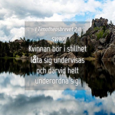 Picture 04 - 1 Timotheosbrevet 2:11 SV1917 - Kvinnan bör i stillhet låta sig undervisas och - Bible Verse Picture