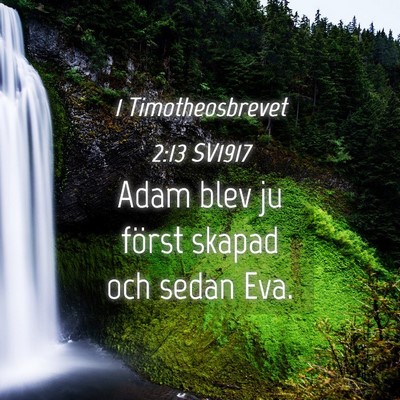 Picture 04 - 1 Timotheosbrevet 2:13 SV1917 - Adam blev ju först skapad och sedan - Bible Verse Picture