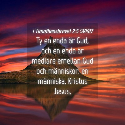 Picture 04 - 1 Timotheosbrevet 2:5 SV1917 - Ty en enda är Gud, och en enda är medlare - Bible Verse Picture
