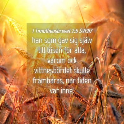 Picture 04 - 1 Timotheosbrevet 2:6 SV1917 - han som gav sig själv till lösen för alla, - Bible Verse Picture