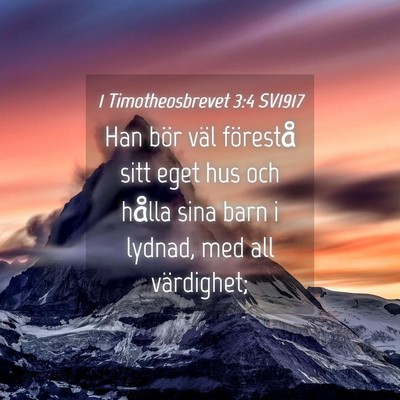Picture 04 - 1 Timotheosbrevet 3:4 SV1917 - Han bör väl förestå sitt eget hus och hålla - Bible Verse Picture