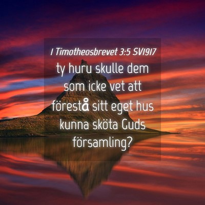 Picture 04 - 1 Timotheosbrevet 3:5 SV1917 - ty huru skulle dem som icke vet att förestå - Bible Verse Picture