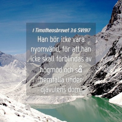 Picture 04 - 1 Timotheosbrevet 3:6 SV1917 - Han bör icke vara nyomvänd, för att han icke - Bible Verse Picture
