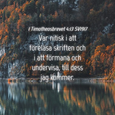 Picture 04 - 1 Timotheosbrevet 4:13 SV1917 - Var nitisk i att föreläsa skriften och i att - Bible Verse Picture
