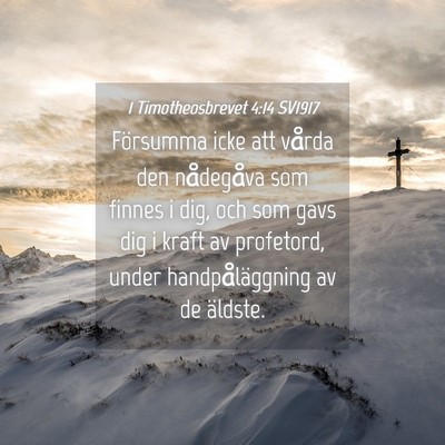 Picture 04 - 1 Timotheosbrevet 4:14 SV1917 - Försumma icke att vårda den nådegåva som - Bible Verse Picture
