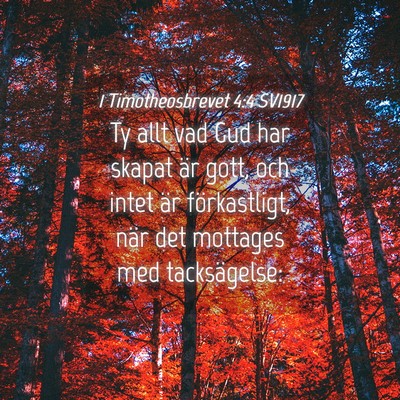 Picture 04 - 1 Timotheosbrevet 4:4 SV1917 - Ty allt vad Gud har skapat är gott, och intet - Bible Verse Picture