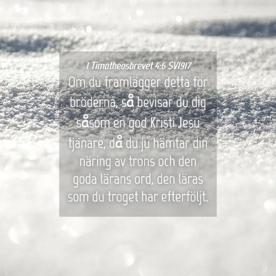Picture 04 - 1 Timotheosbrevet 4:6 SV1917 - Om du framlägger detta för bröderna, så - Bible Verse Picture