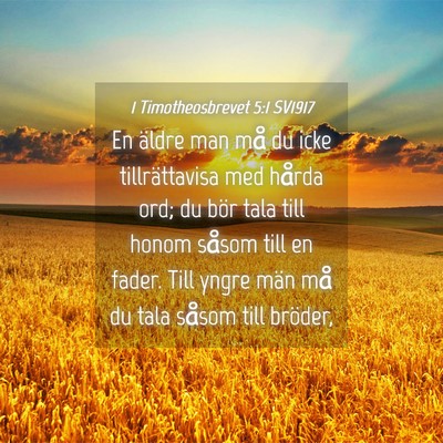 Picture 04 - 1 Timotheosbrevet 5:1 SV1917 - En äldre man må du icke tillrättavisa med - Bible Verse Picture