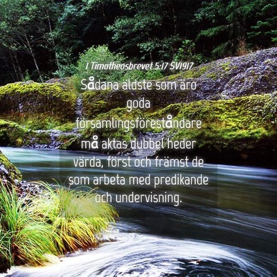 Picture 04 - 1 Timotheosbrevet 5:17 SV1917 - Sådana äldste som äro goda - Bible Verse Picture