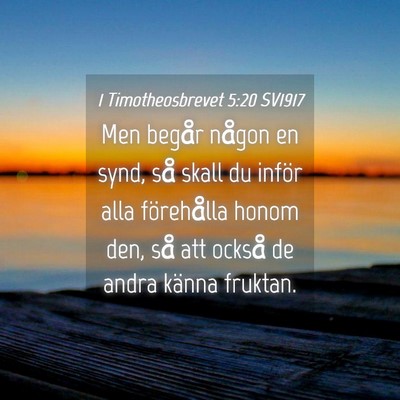 Picture 04 - 1 Timotheosbrevet 5:20 SV1917 - Men begår någon en synd, så skall du inför - Bible Verse Picture