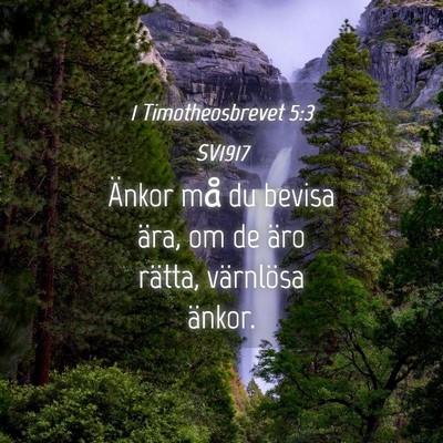 Picture 04 - 1 Timotheosbrevet 5:3 SV1917 - Änkor må du bevisa ära, om de äro rätta, - Bible Verse Picture