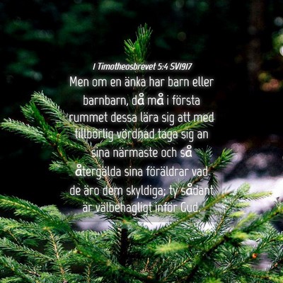 Picture 04 - 1 Timotheosbrevet 5:4 SV1917 - Men om en änka har barn eller barnbarn, då må - Bible Verse Picture