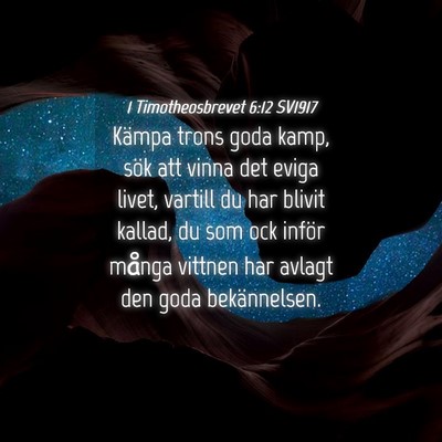 Picture 04 - 1 Timotheosbrevet 6:12 SV1917 - Kämpa trons goda kamp, sök att vinna det eviga - Bible Verse Picture