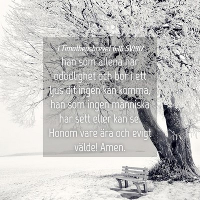 Picture 04 - 1 Timotheosbrevet 6:16 SV1917 - han som allena har odödlighet och bor i ett ljus - Bible Verse Picture