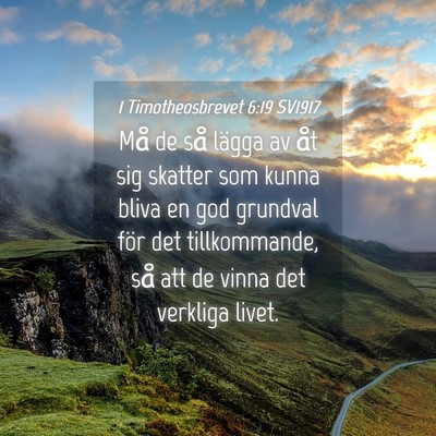 Picture 04 - 1 Timotheosbrevet 6:19 SV1917 - Må de så lägga av åt sig skatter som kunna - Bible Verse Picture