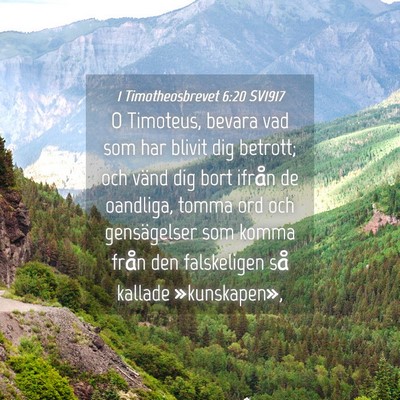 Picture 04 - 1 Timotheosbrevet 6:20 SV1917 - O Timoteus, bevara vad som har blivit dig - Bible Verse Picture