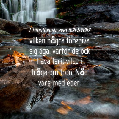 Picture 04 - 1 Timotheosbrevet 6:21 SV1917 - vilken några föregiva sig äga, varför de ock - Bible Verse Picture