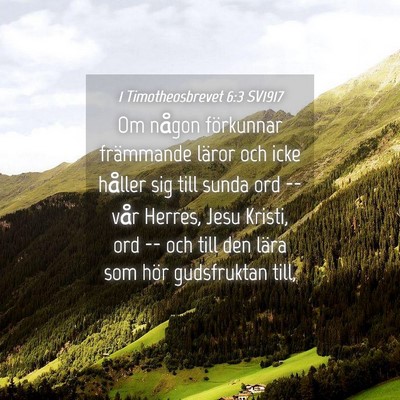 Picture 04 - 1 Timotheosbrevet 6:3 SV1917 - Om någon förkunnar främmande läror och icke - Bible Verse Picture