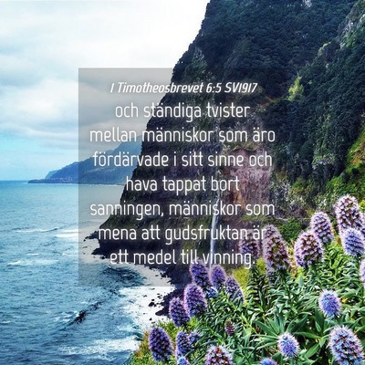 Picture 04 - 1 Timotheosbrevet 6:5 SV1917 - och ständiga tvister mellan människor som äro - Bible Verse Picture